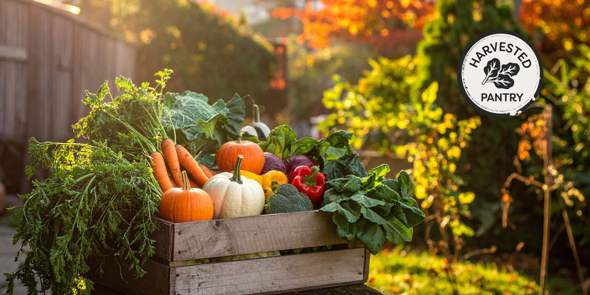 Your edible garden: a beginner’s guide