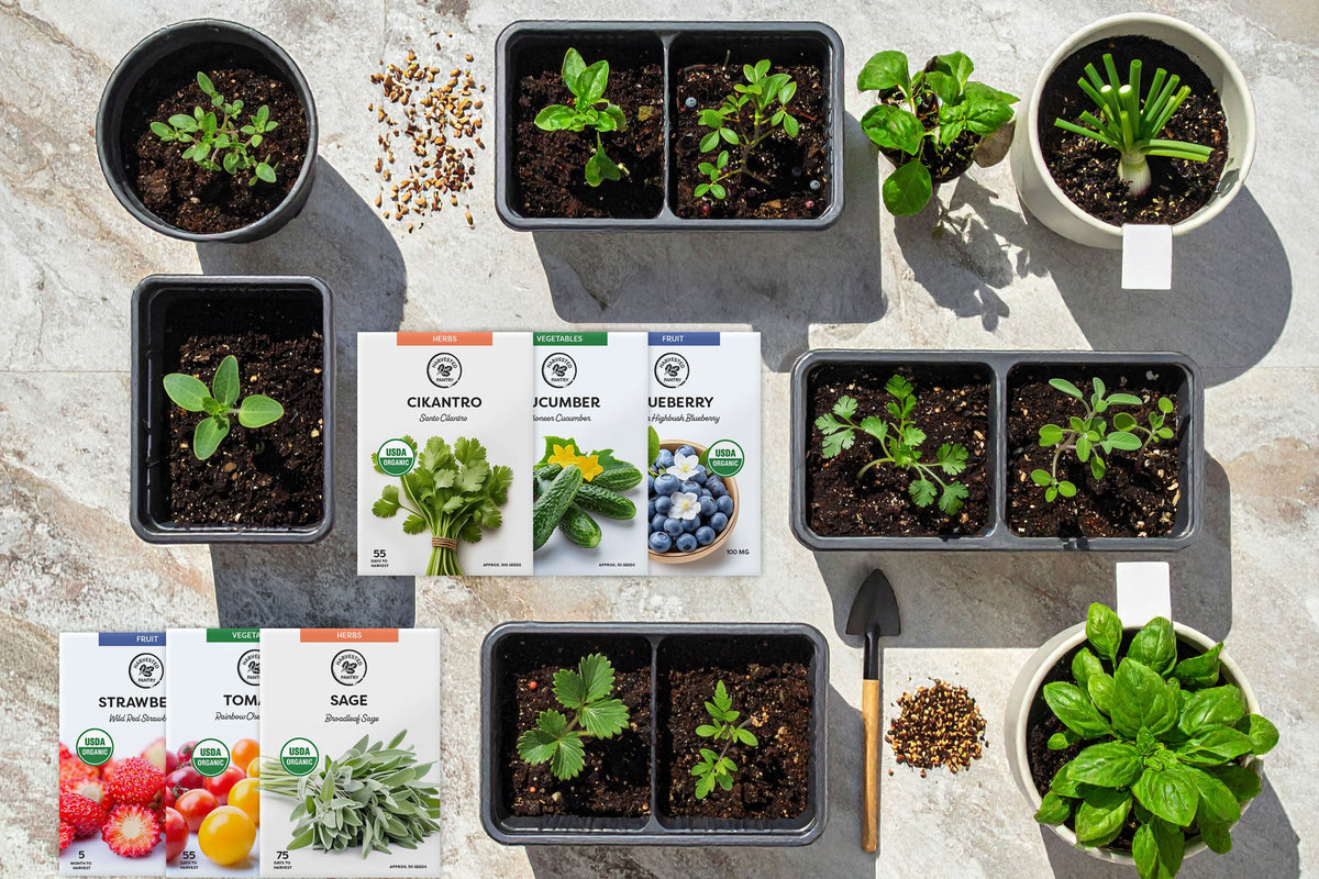 Plants & Seeds